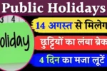 Public Holidays